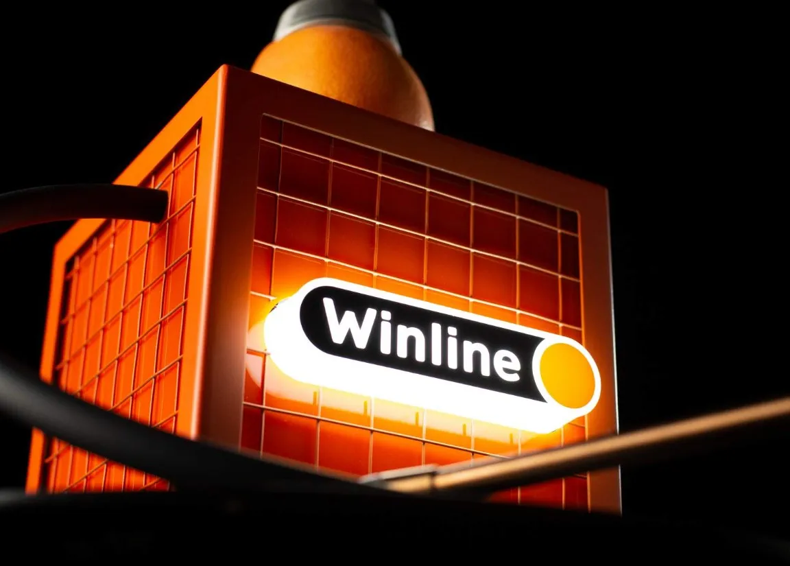 Winline: подробный обзор слотов от популярных провайдеров NetEnt и Microgaming